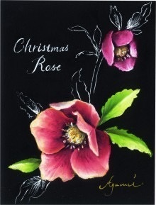 チョークアートで描くクリスマスローズのワークショップ Plants And Antiques Ecseri For Blog